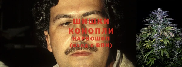 a pvp Новозыбков