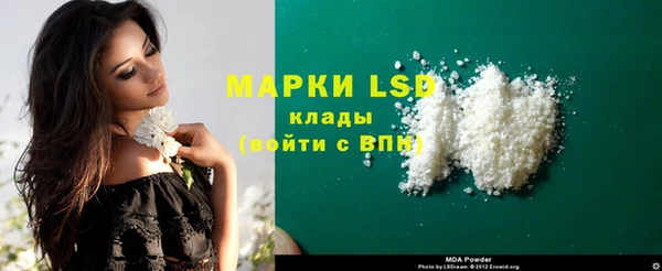 a pvp Новозыбков