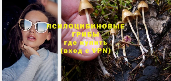дживик Новокубанск