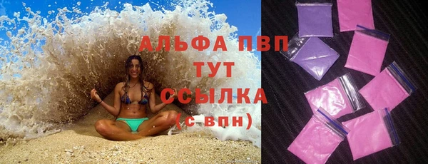 a pvp Новозыбков