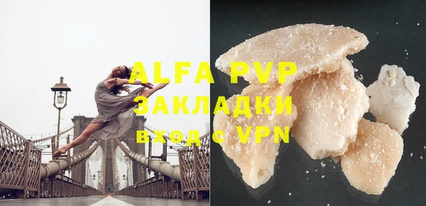 a pvp Новозыбков